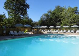 Castelwood Dordogne pool